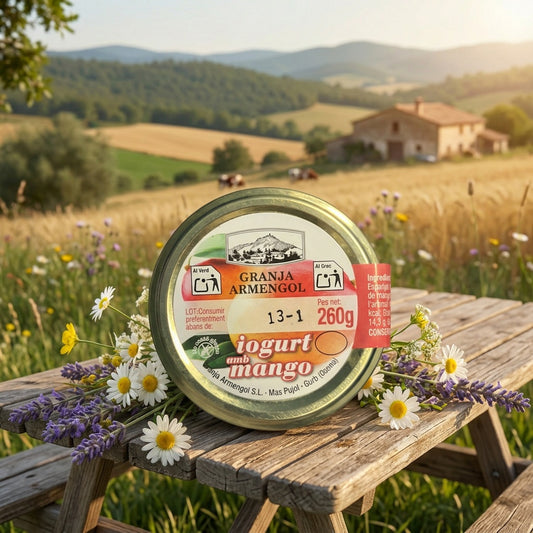 Iogurt amb mango  260g