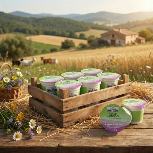 Iogurt desnatat sense lactosa 125g
