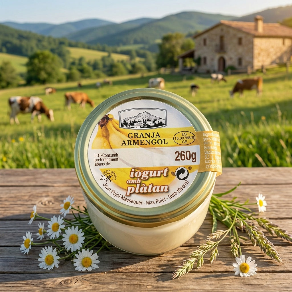 Iogurt amb plàtan 260g