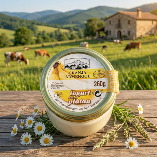 Iogurt amb plàtan 260g
