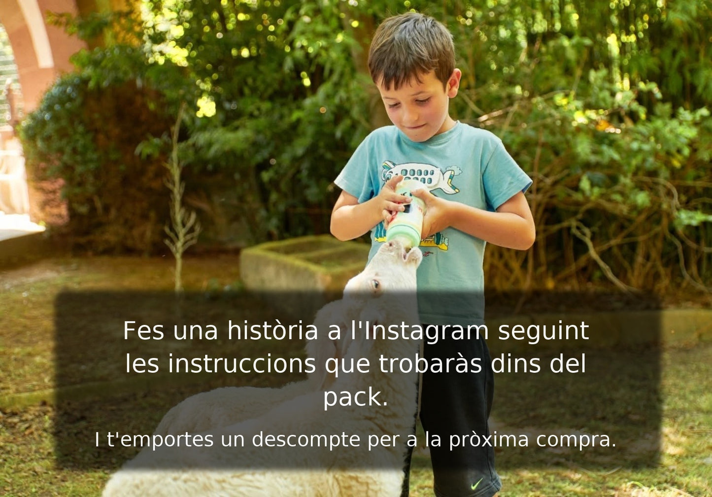 Pack Artesà de Làctics Premiums✨